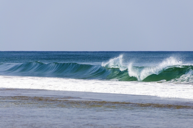 コロナによる波もライフバイオリズムの１つの波にすぎない