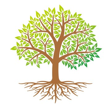 「STEAM」を育てるにために「根」を養う！