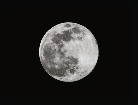 スノームーンに照らされた記憶