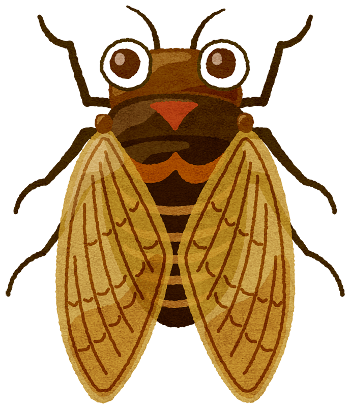 蝉は鳴かずにはおれないから鳴く