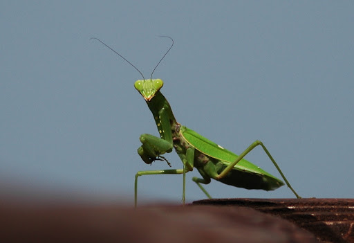 既読スルーもただの既読スルー。意味づけしても意味がない。