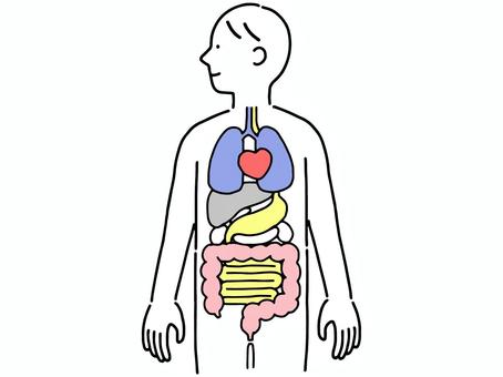 外側がぐちゃぐちゃで、どう生きればいいかわからないとき